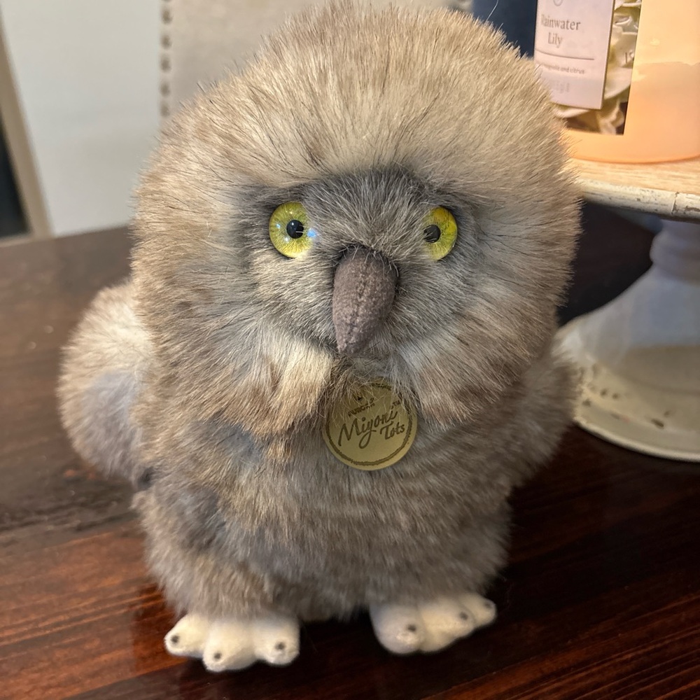 Aurora owl